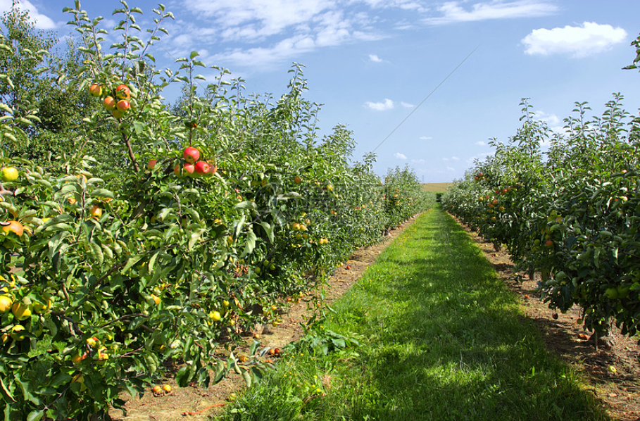 aa6aef4c477dfb32221e3d21e8580f7